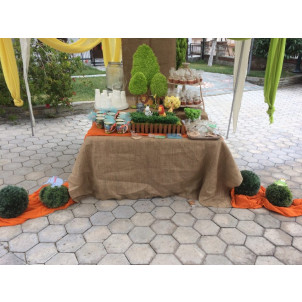 Στολισμός Εκκλησίας Με Θέμα Ζωάκια της Ζούγκλας (Κωδ.101072)